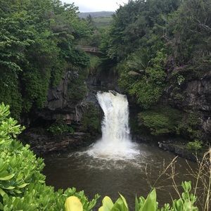 Meet your Posher, Kimble